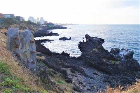 DSC00221
