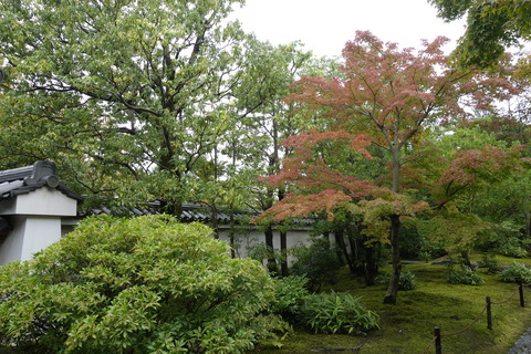 旅・_DSC5030
