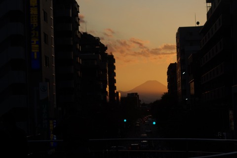 DSC00499