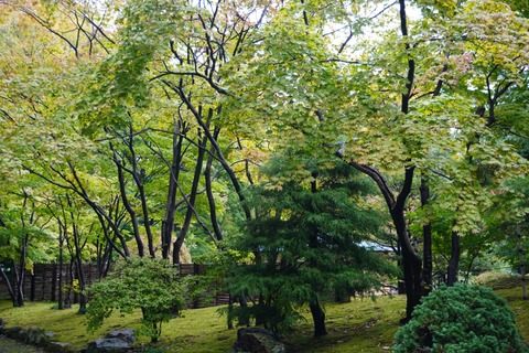 DSC00226