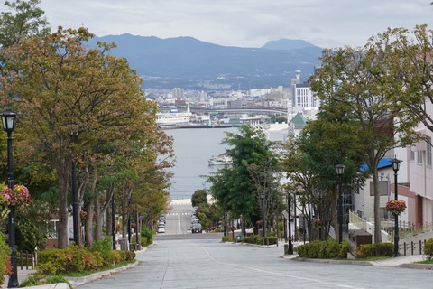 DSC00413 (1)