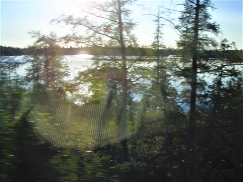 IMGP0467
