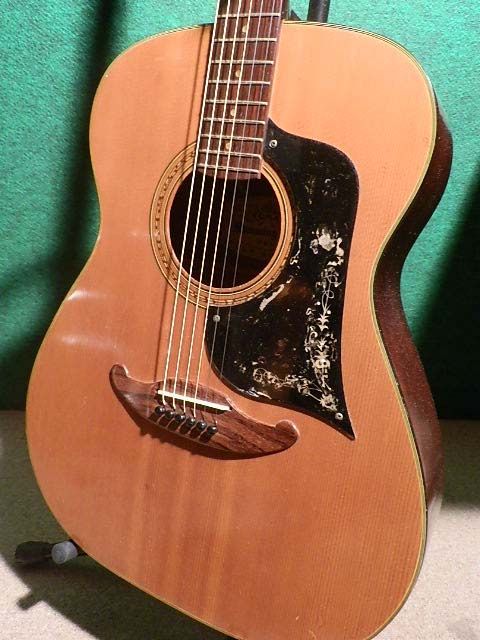 ギター Tokai Humming Bird 96F Epiphone（Tokai Humming Bird 96F) - BLUESと私の生活