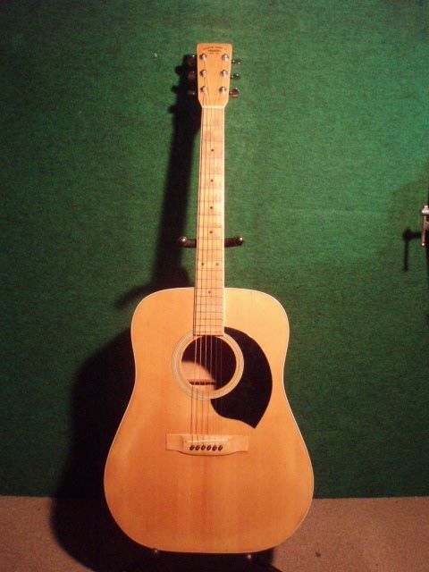 白い〜ギターに〜 : 中古楽器屋への道(2） グラスホッパー・ギターズ