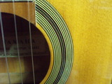 P5052766