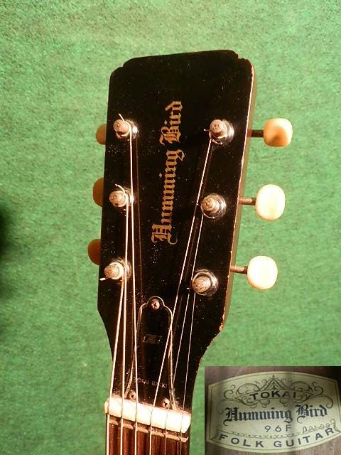 ギター Tokai Humming Bird 96F Epiphone（Tokai Humming Bird 96F) - BLUESと私の生活