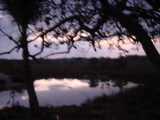 asayake