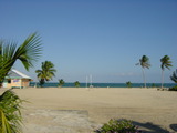 placensia