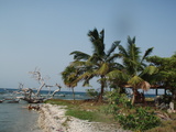 sima