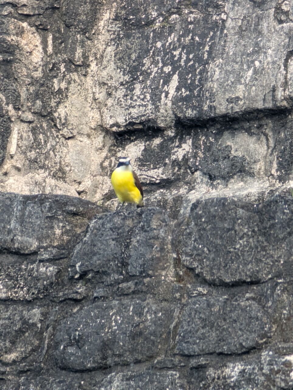 PXL_20260103_213838228