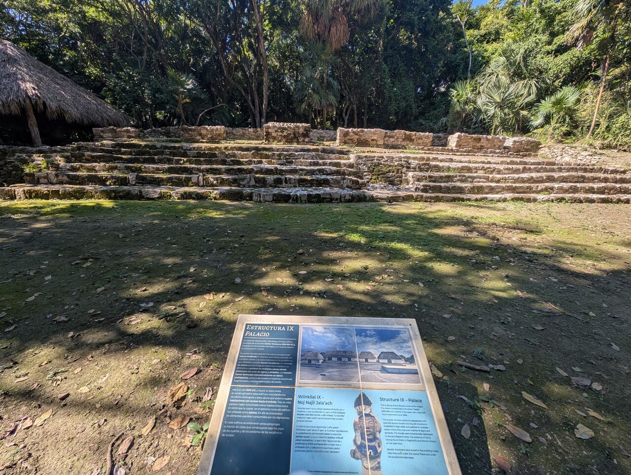 PXL_20260103_185458925.MP