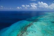 burrie reef