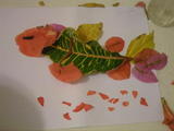 fish aret