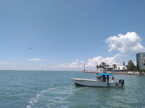 20190326_111808