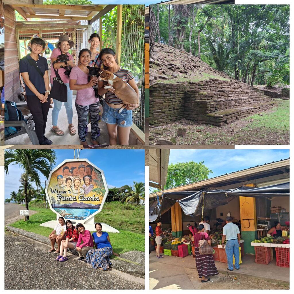 Blank 4 Grids Collage��