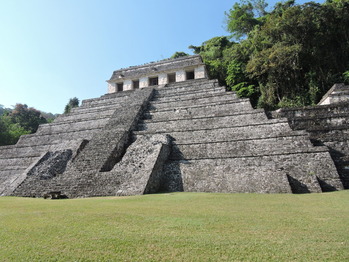 DSCN4501