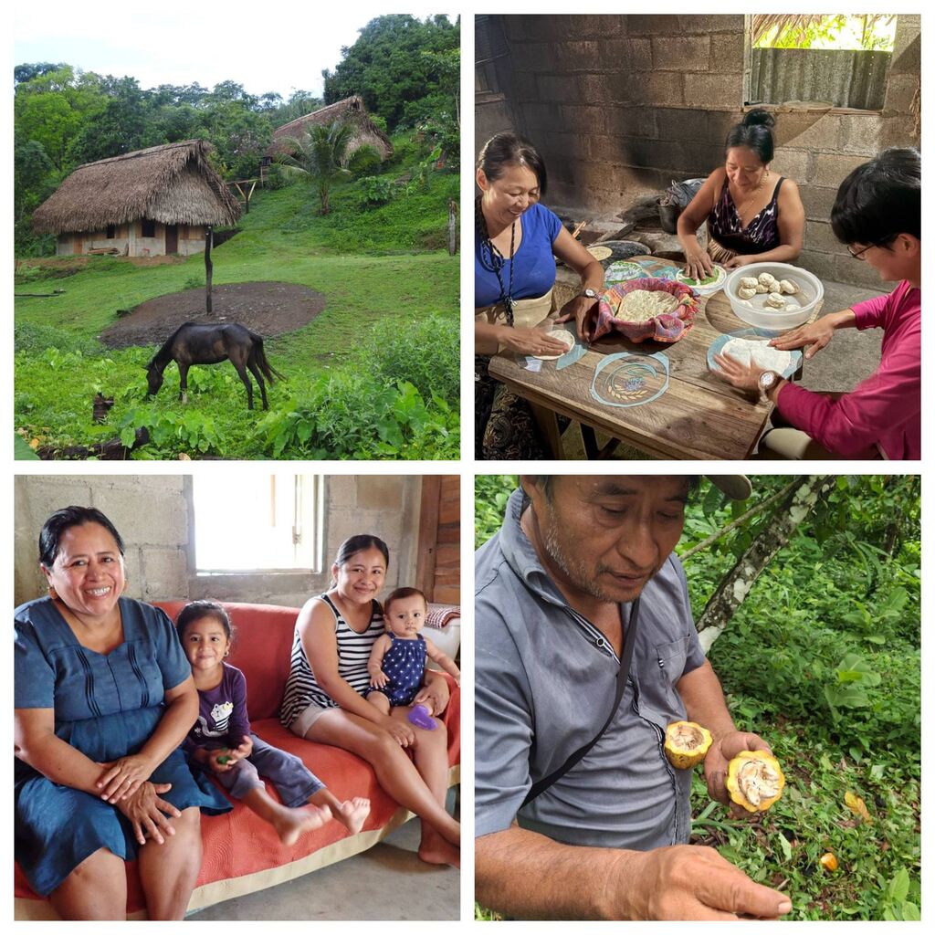 Blank 4 Grids Collage (1)