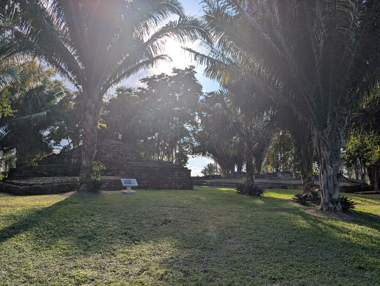 PXL_20260103_210931015