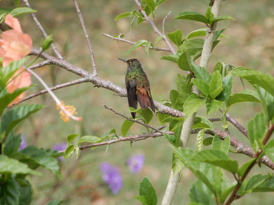 DSCN0710