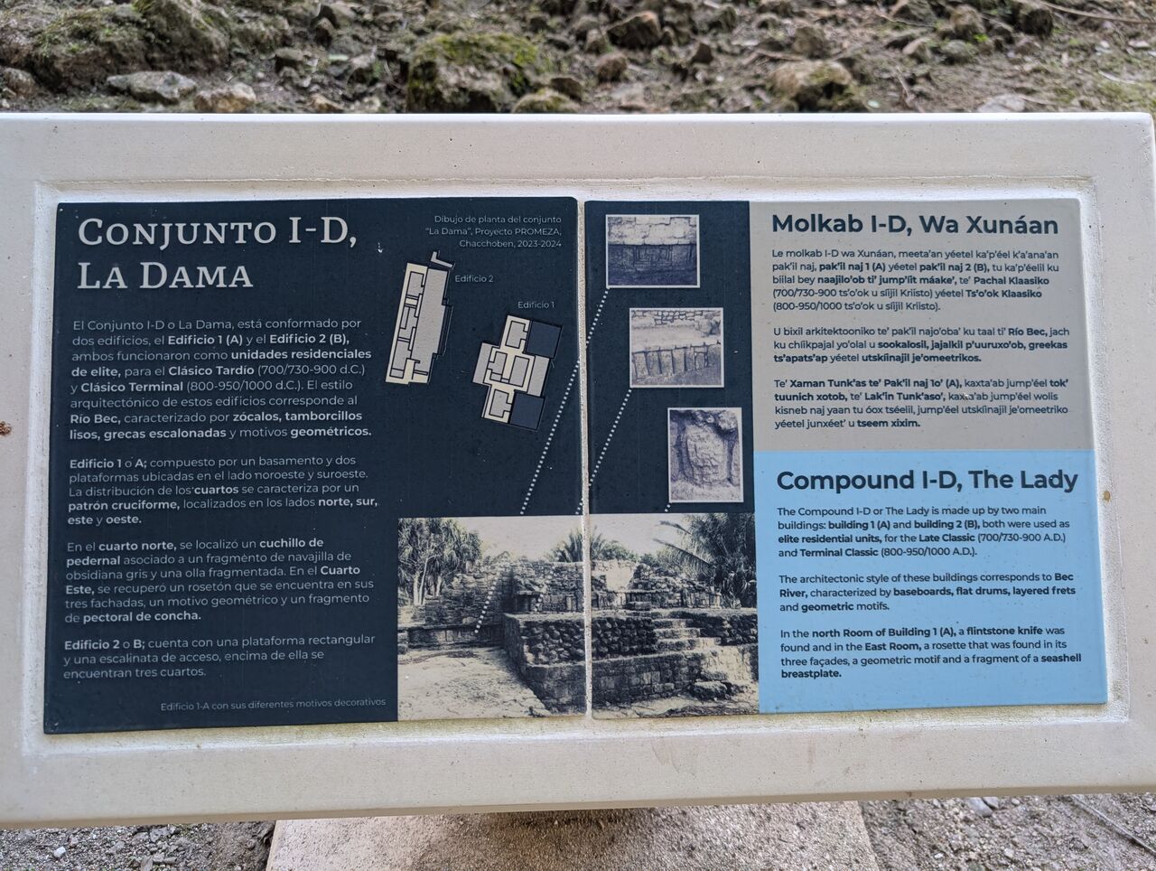 PXL_20260103_211120392