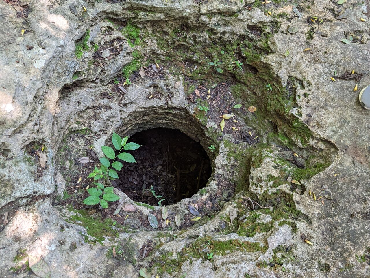 PXL_20260103_184839974