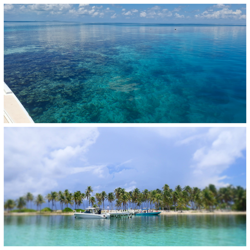 Blank 4 Grids Collage��