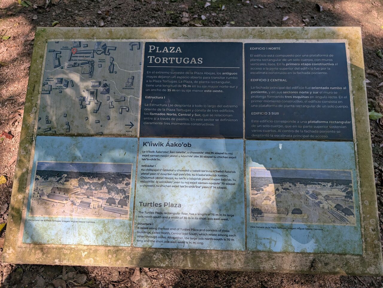 PXL_20260103_184642472