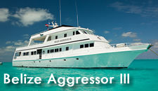 belize aggressor boat ��