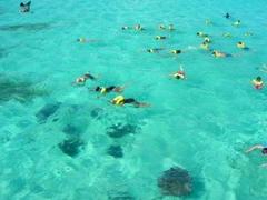 snorkeling with manta