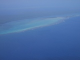 ana1