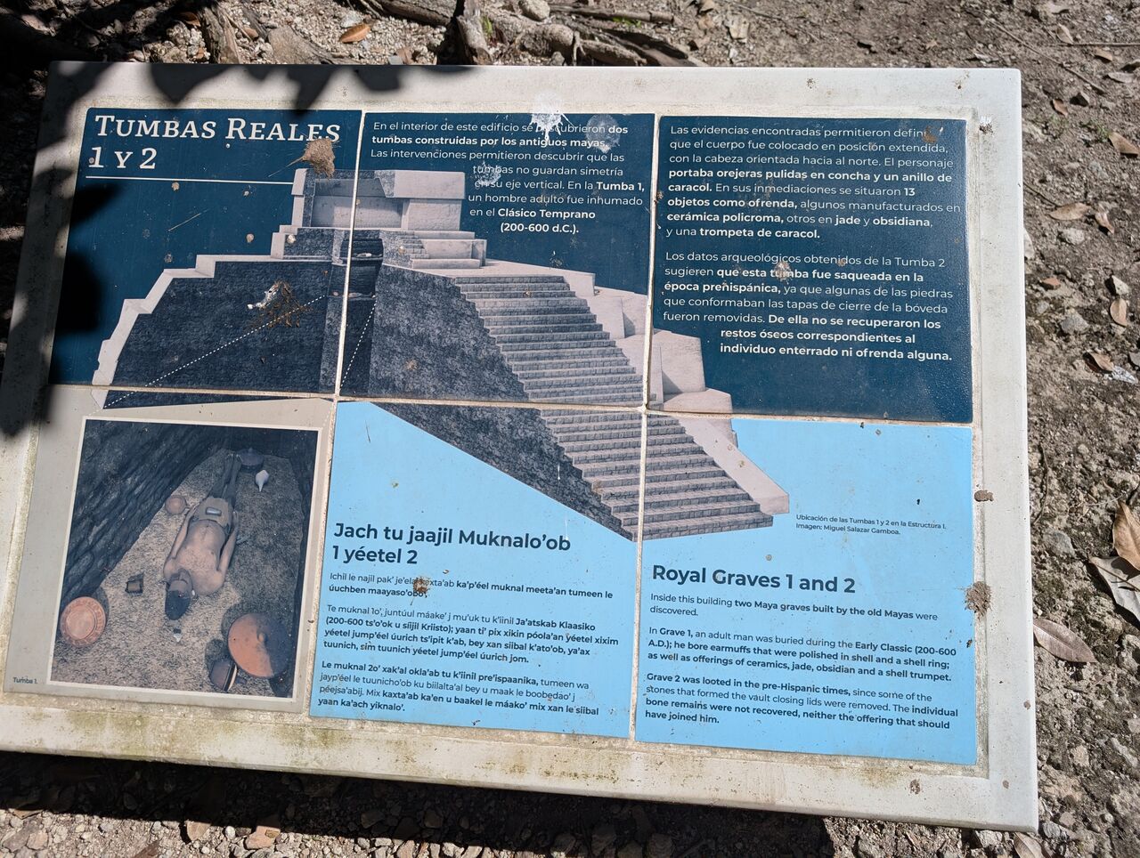 PXL_20260103_183223244.MP