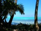 halfmoon caye