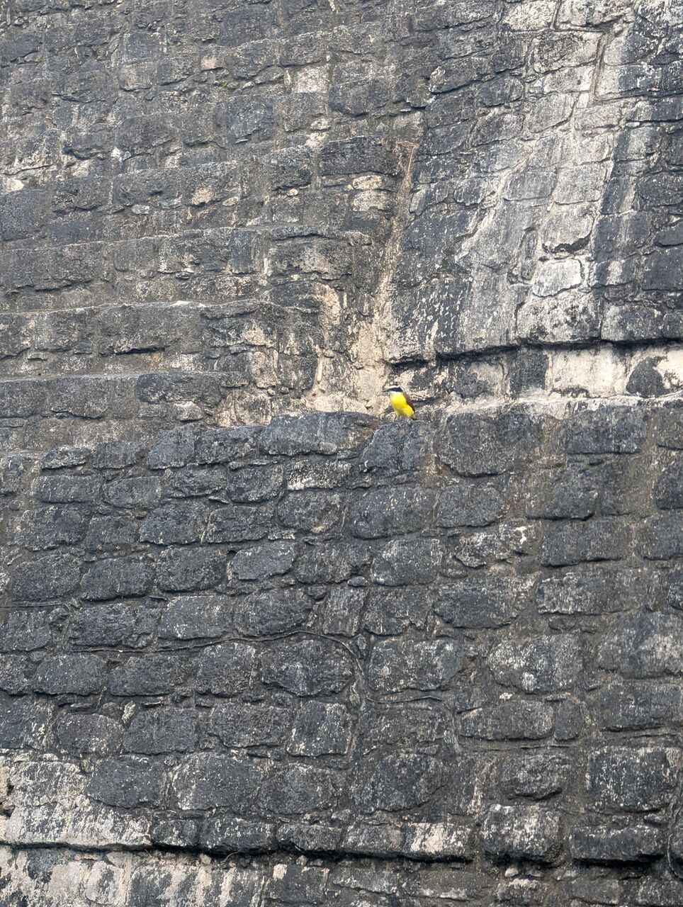 PXL_20260103_213831900