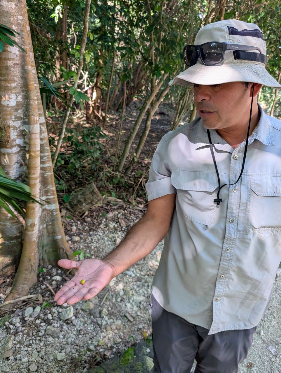 PXL_20260103_182506635.MP