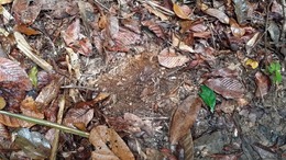 20171031_085703