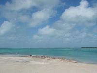 caye caulker