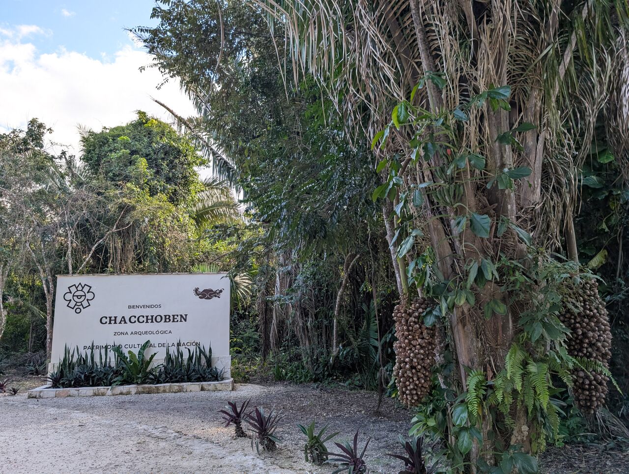 PXL_20260103_210010508.MP