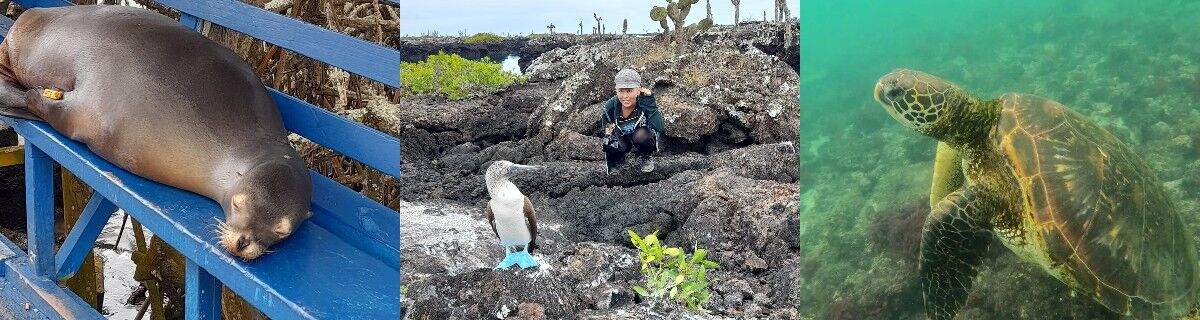 galapagos