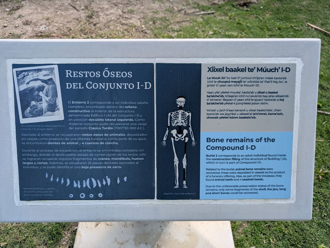 PXL_20260103_210945976.MP