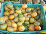 mandarin
