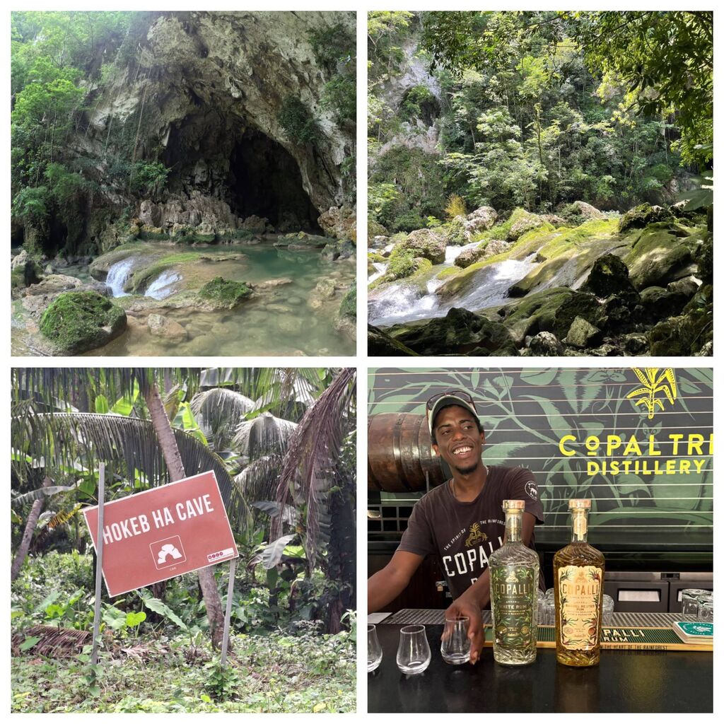 Blank 4 Grids Collage��