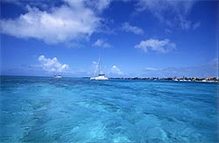 caye caukler