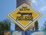 go slow