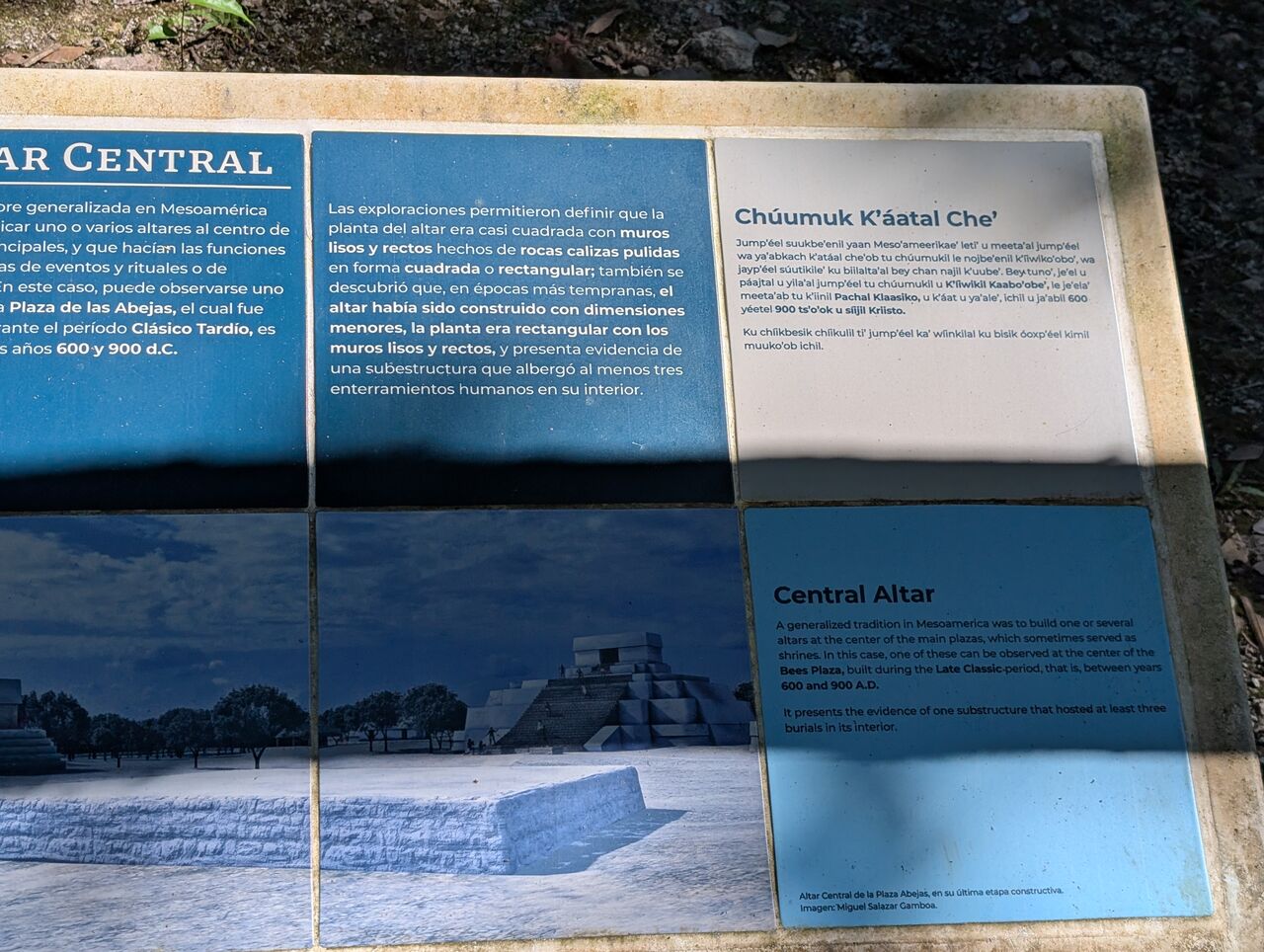 PXL_20260103_183720983.MP