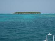 Global reef