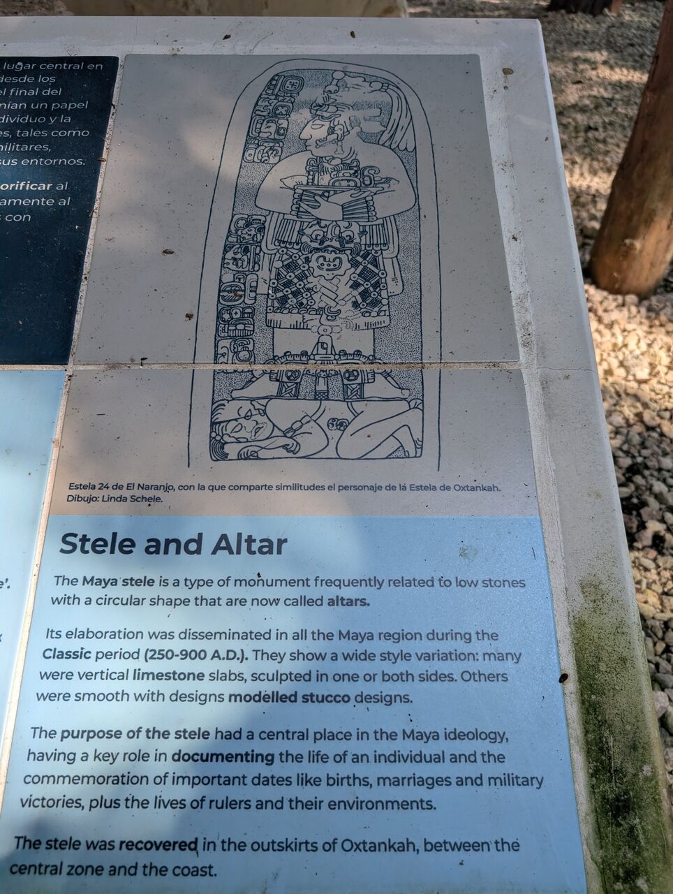 PXL_20260103_182303669