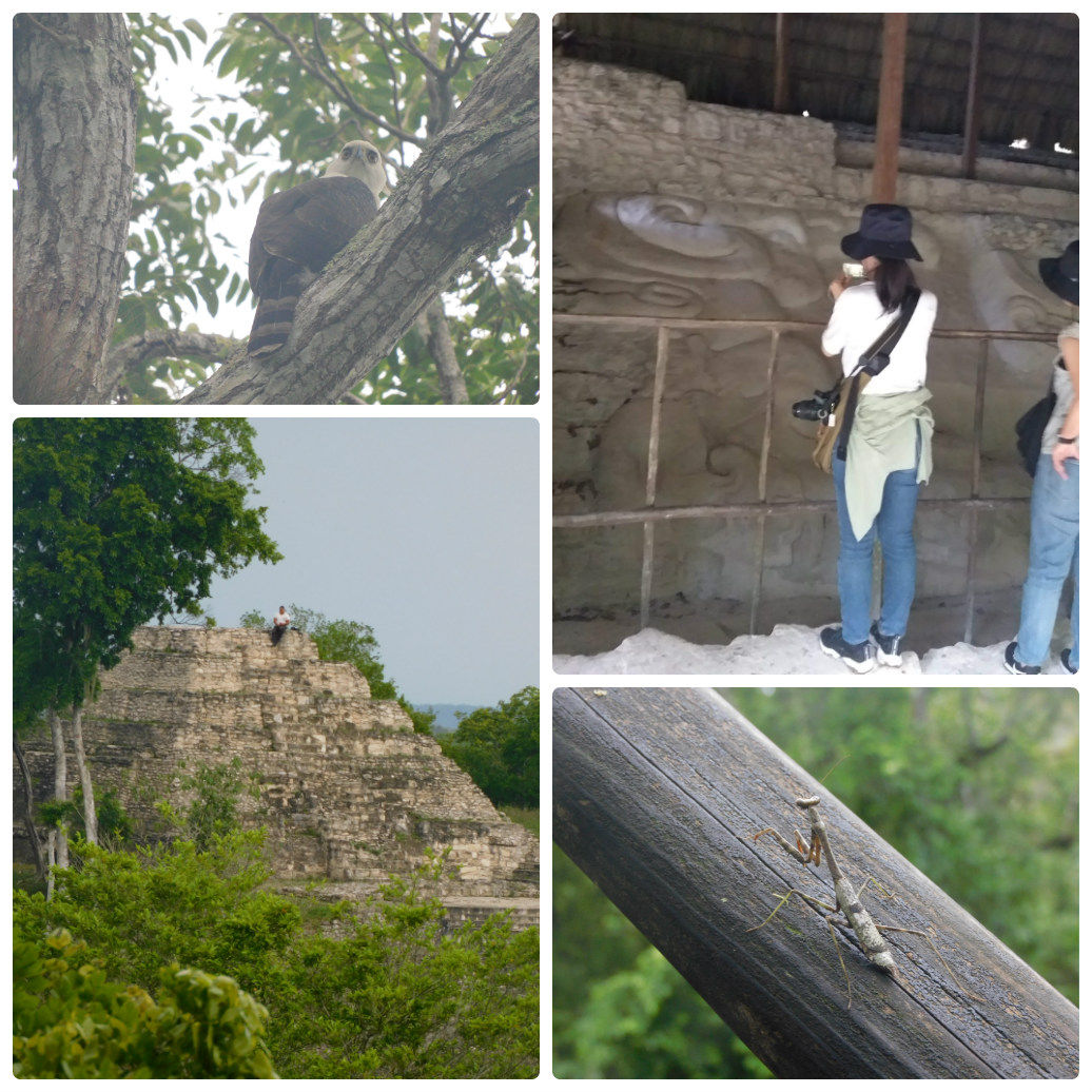 2Yaxha