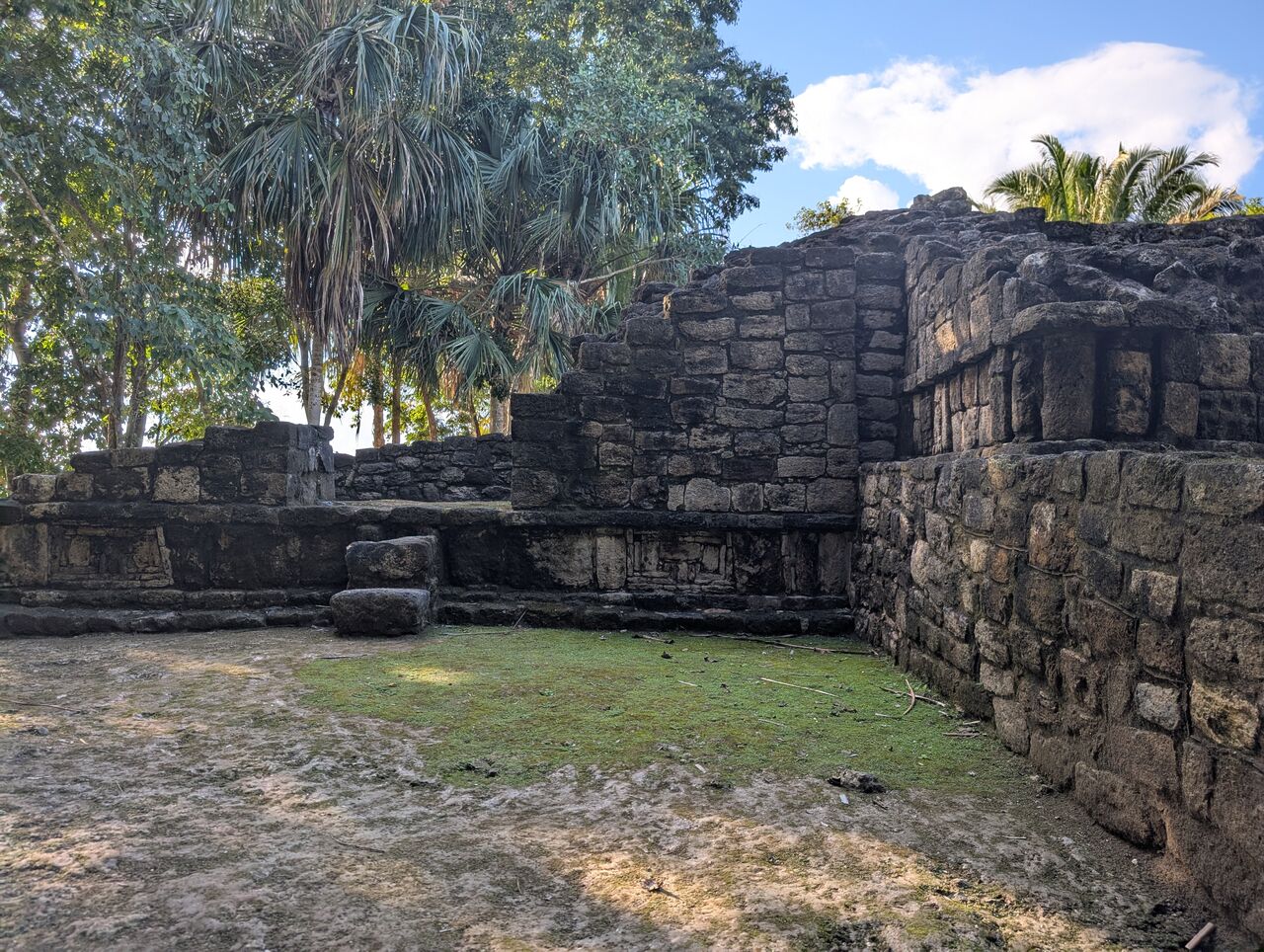 PXL_20260103_211148687.MP