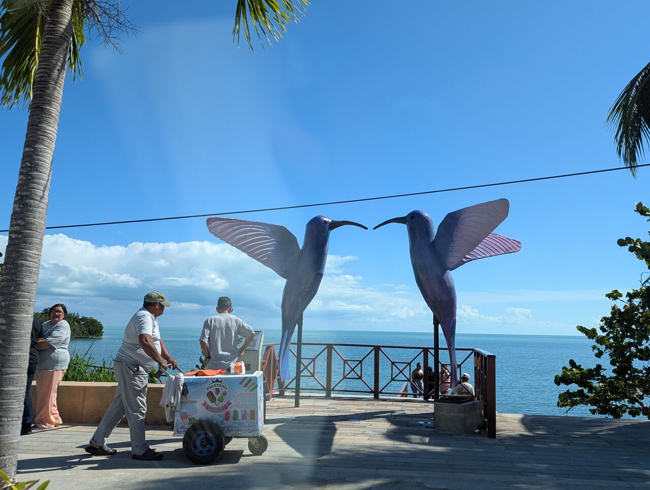 PXL_20260103_180206686