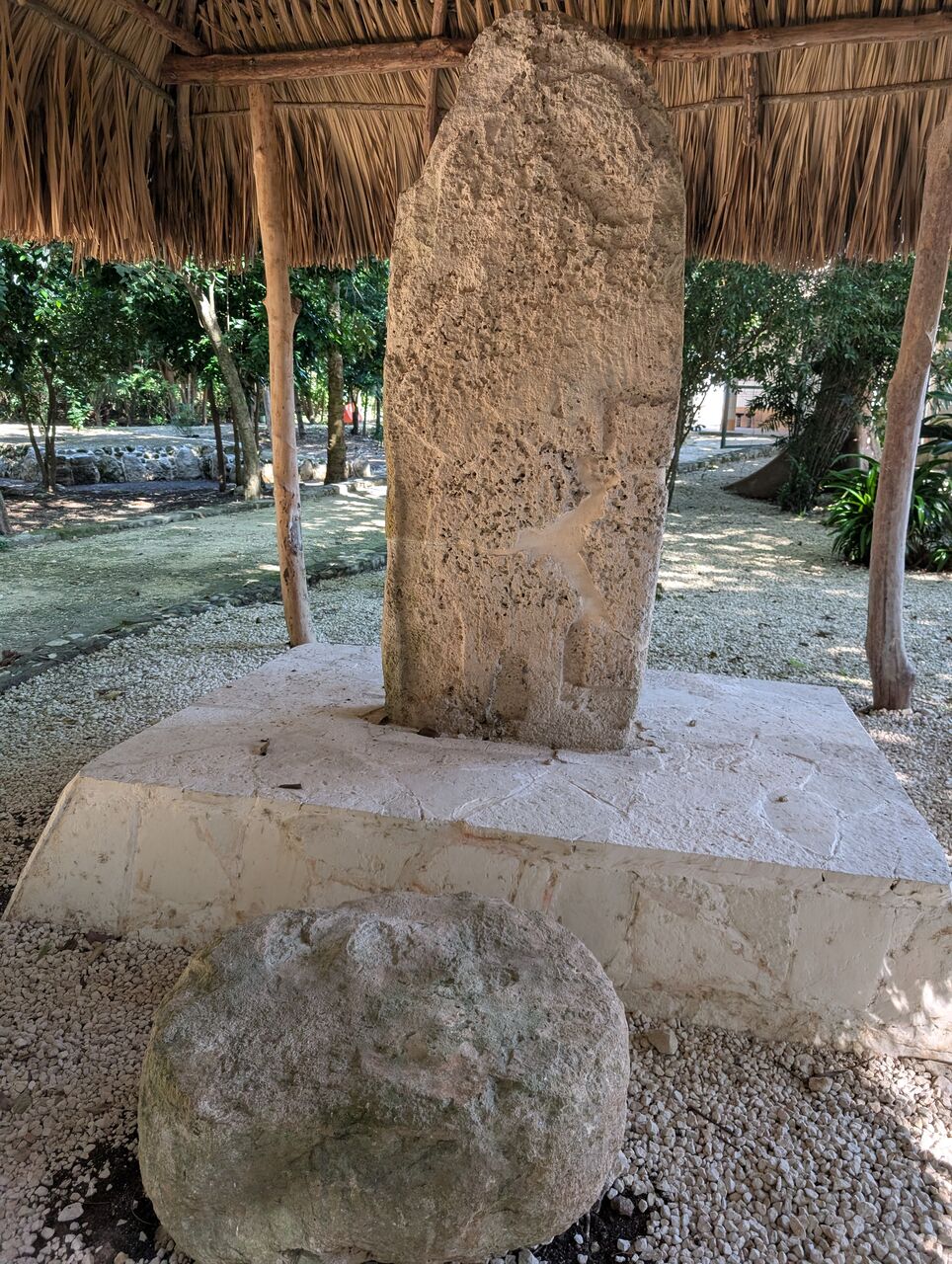 PXL_20260103_182308035